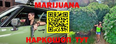 гидра Волжск