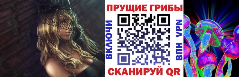сколько стоит  Горячий Ключ  Галлюциногенные грибы GOLDEN TEACHER 