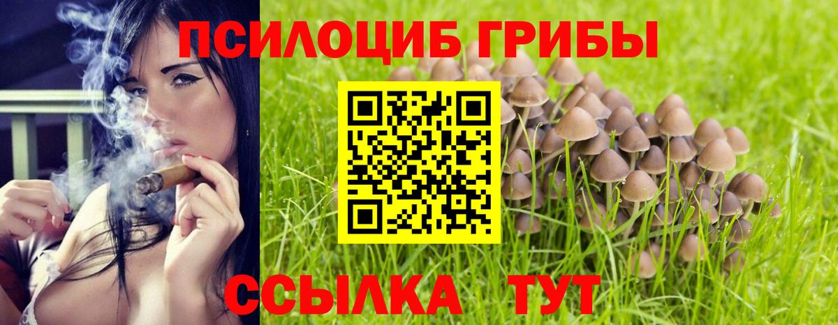 Галлюциногенные грибы Cubensis  Горячий Ключ  как найти закладки  Галлюциногенные грибы GOLDEN TEACHER 