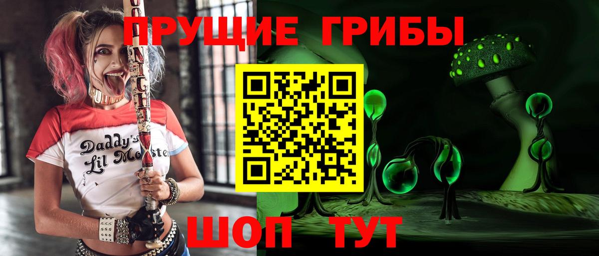 Псилоцибиновые грибы Cubensis  Вход с VPN  Горячий Ключ 